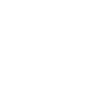 Private Investigation