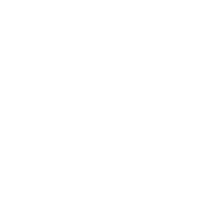 Security Services